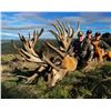 Image 1 : 4-day/4-night 500-class Red Stag Hunt for 1 hunter and 1 non hunter