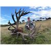 Image 2 : 4-day/4-night 500-class Red Stag Hunt for 1 hunter and 1 non hunter