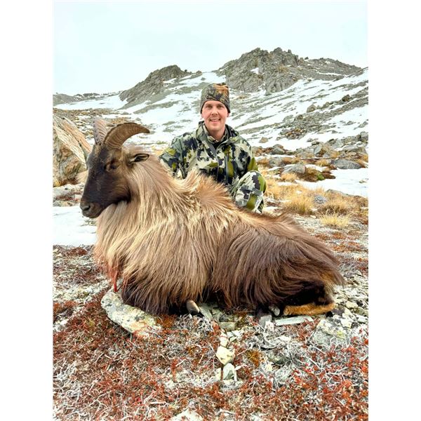 5-day/4-night Himalayan tahr hunt for 2 hunters and 2 observers