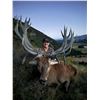 Image 2 : 5-day/4-night 450-500-class Red Stag Hunt for 1 hunter
