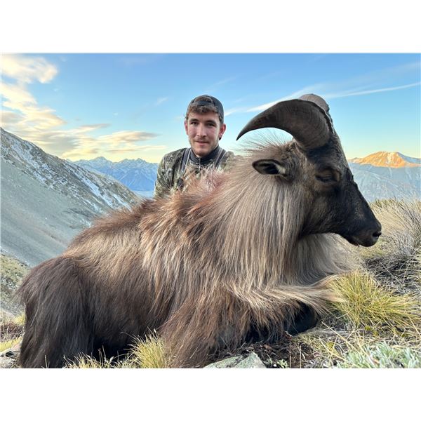 4-day/5-night combo tahr/chamois/fallow hunt for 1 hunter