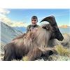 Image 1 : 4-day/5-night combo tahr/chamois/fallow hunt for 1 hunter