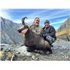 Image 2 : 4-day/5-night combo tahr/chamois/fallow hunt for 1 hunter