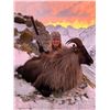 Image 4 : 4-day/5-night combo tahr/chamois/fallow hunt for 1 hunter