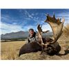 Image 6 : 4-day/5-night combo tahr/chamois/fallow hunt for 1 hunter