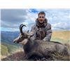 Image 7 : 4-day/5-night combo tahr/chamois/fallow hunt for 1 hunter