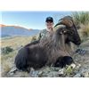 Image 9 : 4-day/5-night combo tahr/chamois/fallow hunt for 1 hunter