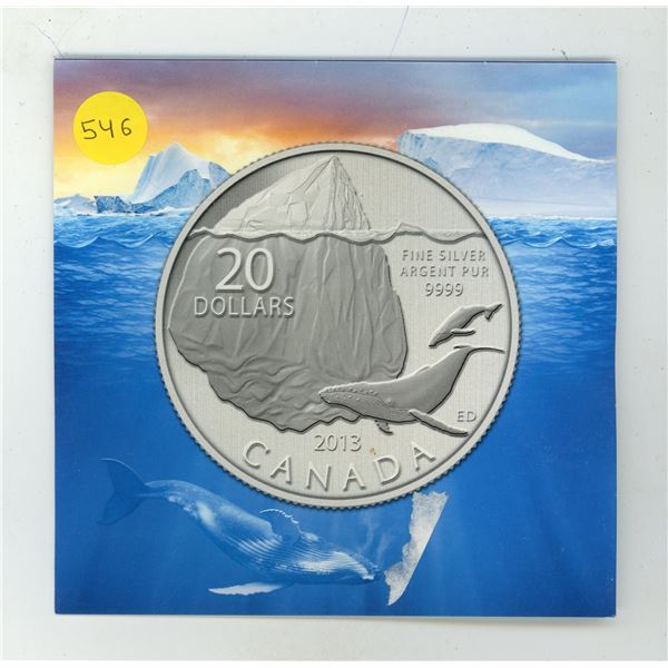 2013 $20 Fine Silver Coin - Iceberg (99.99% pure)