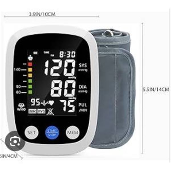 Redin Arm Type Electronic Blood Pressure Monitor Model BSX593