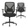 Image 1 : True Innovations Mesh Office Chair With Adjustable Features