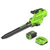 Image 1 : Greenworks 80V Max Power 640CFM Blower/Vacuum with 3-In-1 Design
