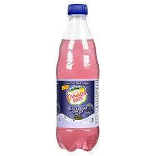 Canada Dry Blackberry Soda 24 x 500 mL Bottles
