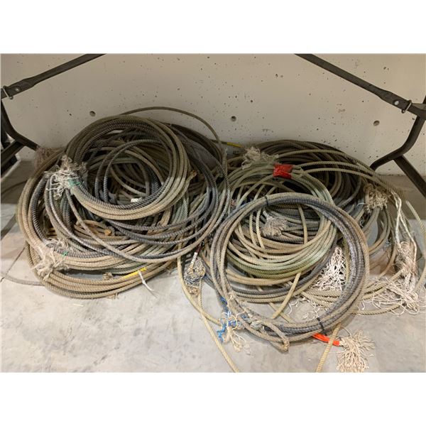 Bulk Lot of RANCH ROPES