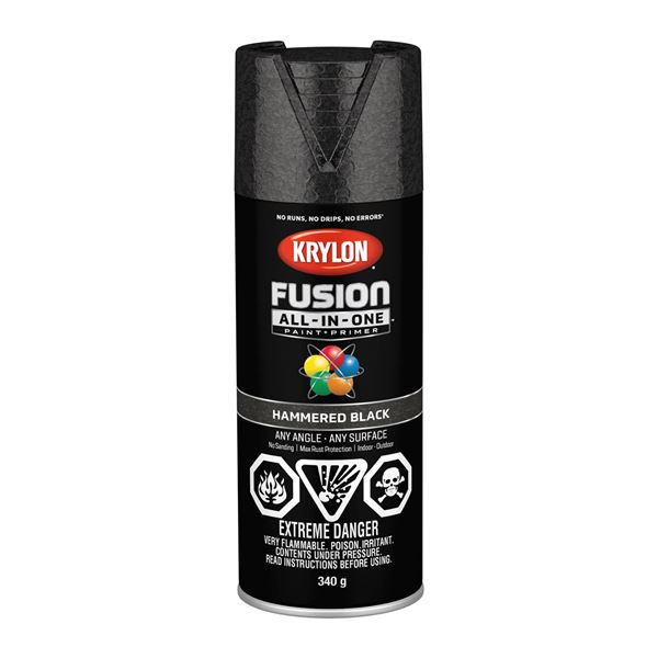 Krylon Fusion All-in-One Hammered Black, Paint and Primer, 6 x340g