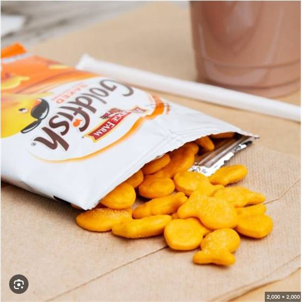Pepperidge Farm Goldfish Cheddar Baked Snack Crackers 48 x 45g