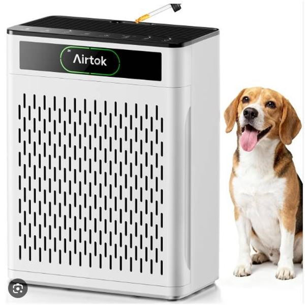 Airtok AP3001 Air Purifier for Large Rooms with Multiple Settings