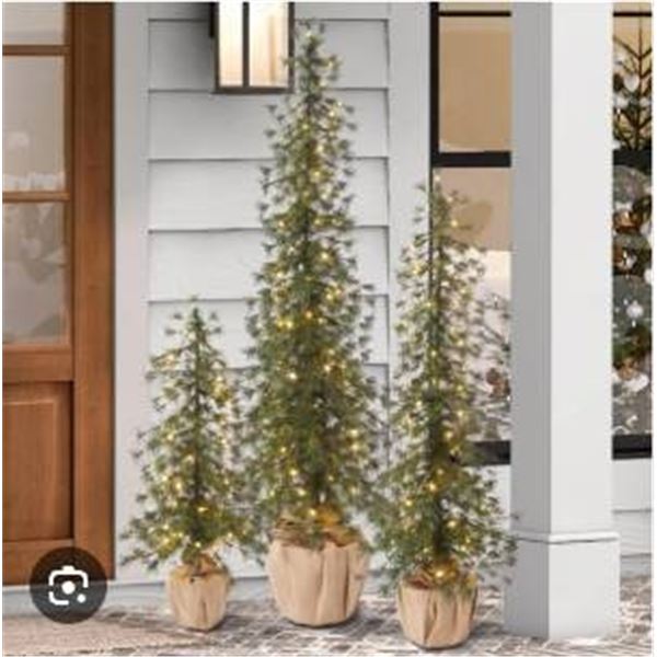 3 Alpine Trees with LED Lights – Item Number 1739920