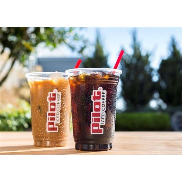 Pilot Flying J Brazil Cold Brew Concentrate 3:1, 473 mL Bottles, Set of 16