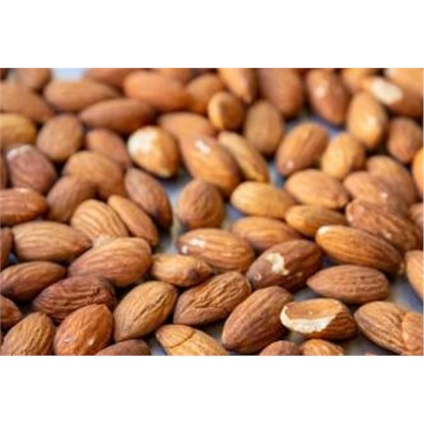Roasted Salted Almonds 142g – Lot of Multiple Units