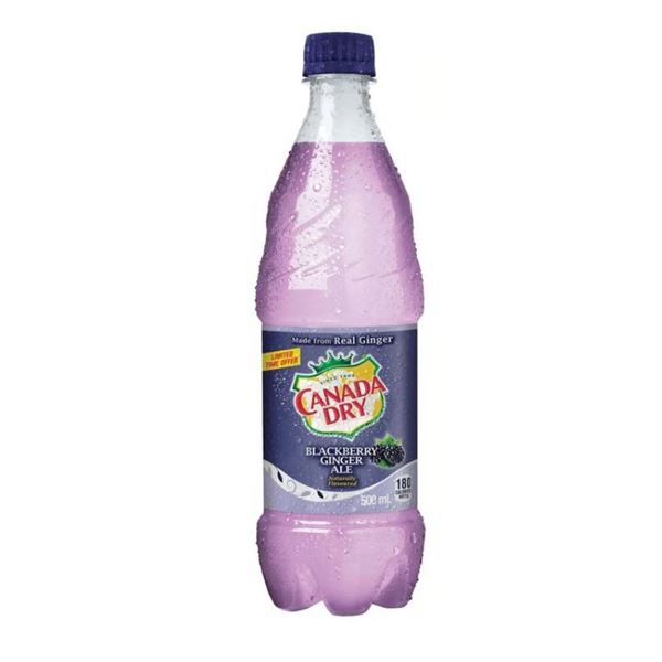 Canada Dry Blackberry Ginger Ale 500 mL Bottles – 24 Count