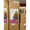 Image 2 : BrizLabs 2ft DIY Smart-Lit Tree Set with 75 RGB LEDs, Voice Control