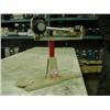 Image 1 : OHAUS 310G BALANCE