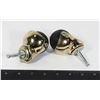 Image 1 : 2 CASTORS