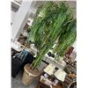 Image 1 : 8'  Potted Silk Tree