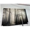 Image 1 : Oil On Canvas Wall Art Wooded Trail