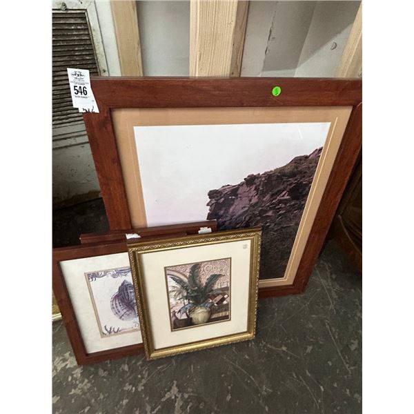 Sea Shell/Palm Wall Art w/Cliff Photo