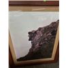 Image 4 : Sea Shell/Palm Wall Art w/Cliff Photo