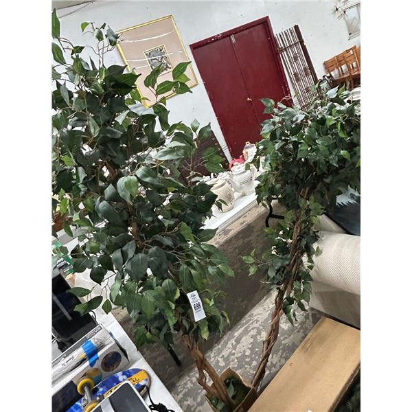Silk Ficus Trees - 2 -(One Missing Pot)