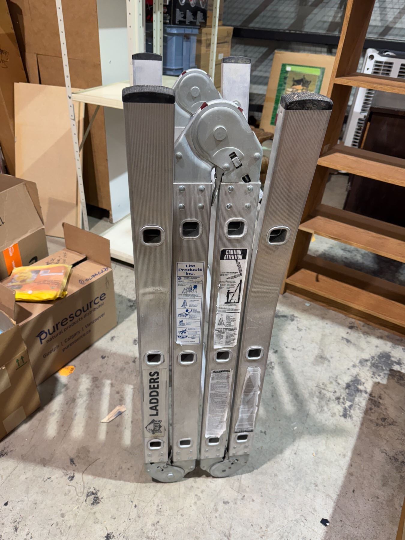 Eagle folding ladder
