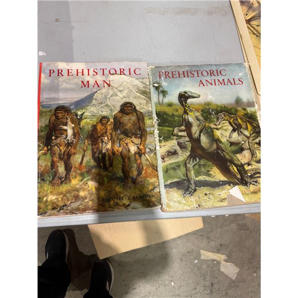 Prehistoric man and animals books