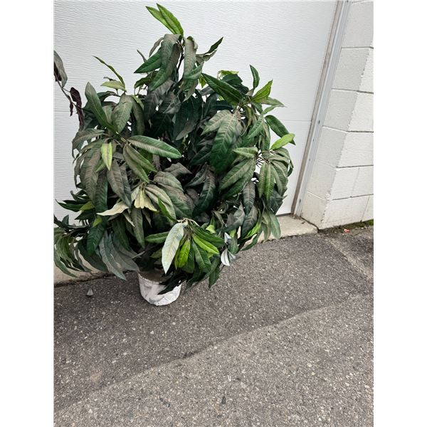 Artificial plant