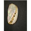 Image 2 : Shell with gold trim pendant