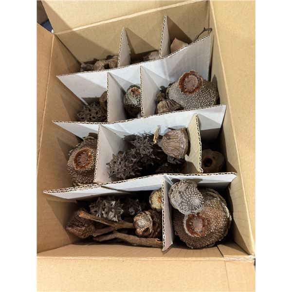 Box of seeds from Australia