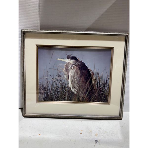 Feather Cloak (Great Blue Heron) 19x15.75 inches
