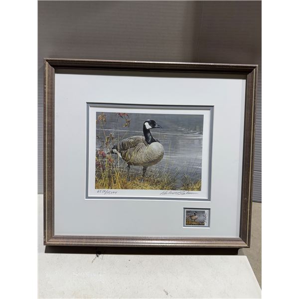 Pride of Autumn Canada Goose Robert Bateman lithograph printed on paper 17.5x15.75
