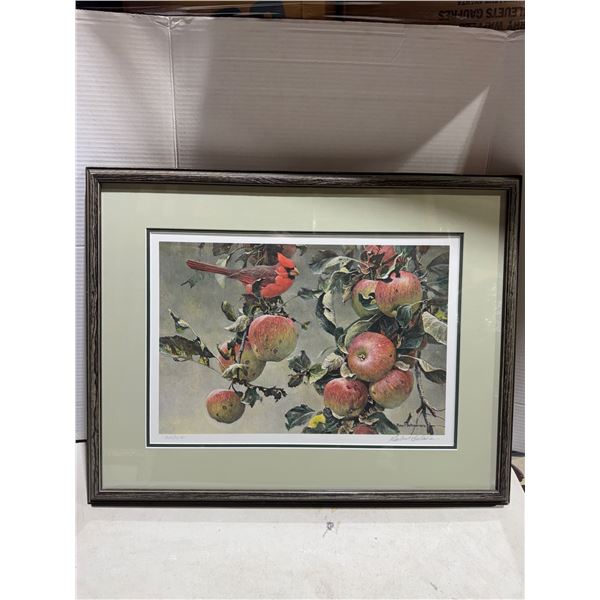 Cardinal with Apples limited edition lithograph print on paper Robert Bateman 26.25 x 20.5 signed