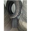 Image 35 : Wheels and Tire Locker