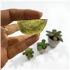 Image 1 : 1.6 inch Moldavite 11.915 gms
