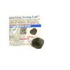 Image 2 : 0.97 inch Moldavite 4.578 gms