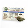 Image 3 : 1.5 inch Moldavite 3.852 gms