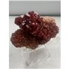 Image 6 : 2.1 INCH  HIGH GRADE VANADINITE SPECIMEN