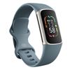 Image 1 : FITBIT CHARGE 5 SMARTWATCH - TESTED WORKING, RETAIL $219