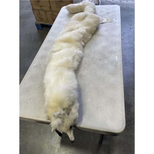 VINTAGE CROWN FOX PELT WITH TAG