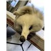 Image 2 : VINTAGE CROWN FOX PELT WITH TAG