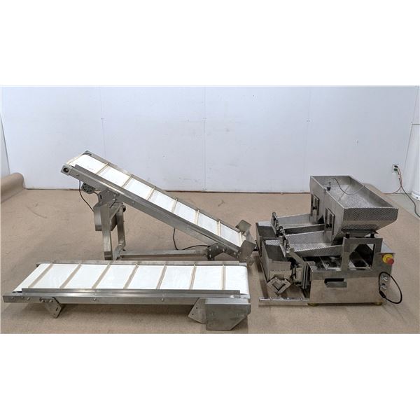 Linear Weigher With Conveyor | LBD3-2