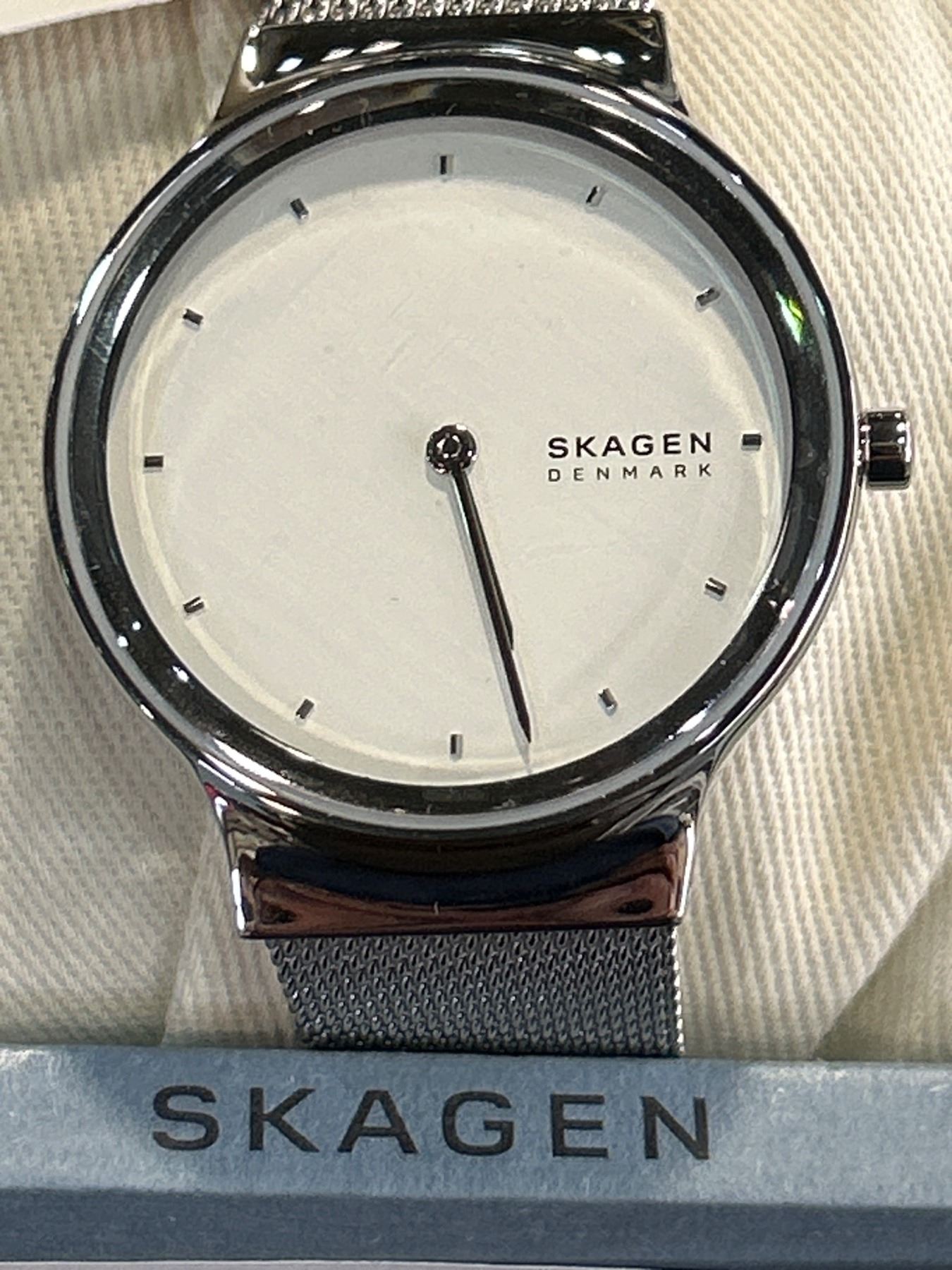 Skagen Stainless Steel Quartz Watch with Mesh Band